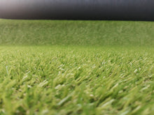 Load image into Gallery viewer, Artificial Grass

