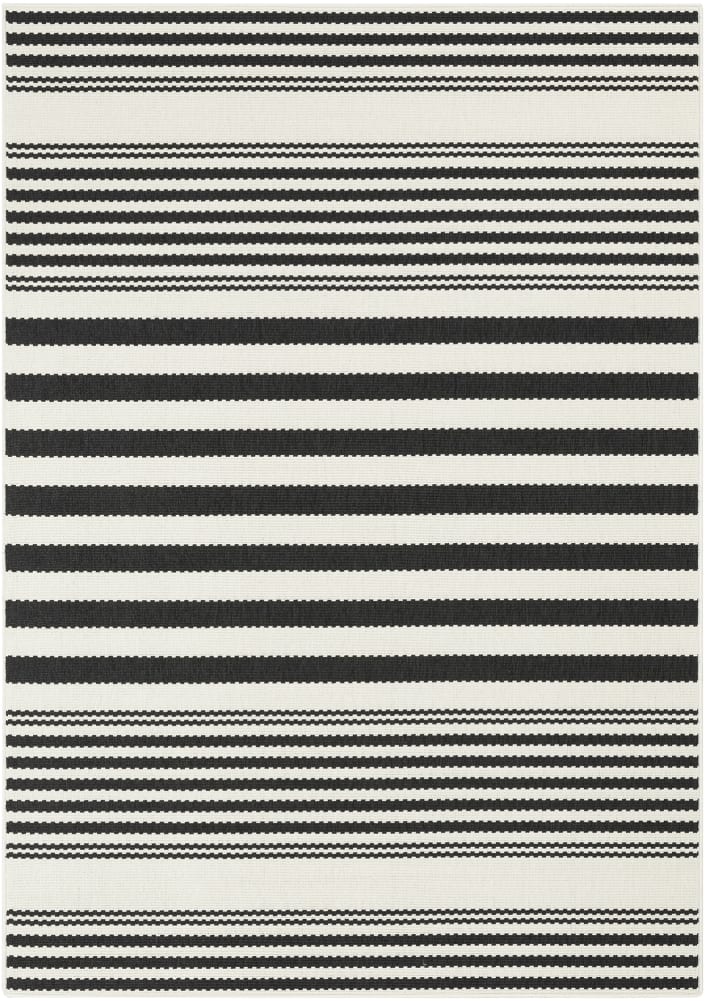 Fenix Linear Design Black and White