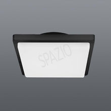 Load image into Gallery viewer, NICRA
