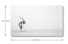 Load image into Gallery viewer, Gemsbok Desert
