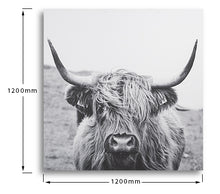 Load image into Gallery viewer, Scottish Highland Cattle
