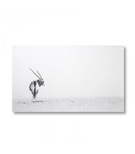 Load image into Gallery viewer, Gemsbok Desert
