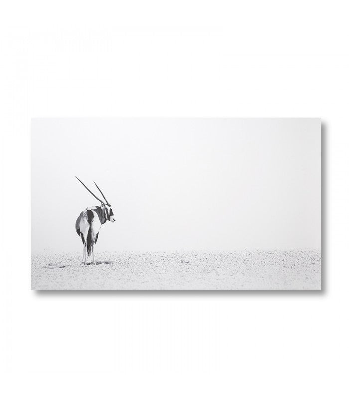 Gemsbok Desert