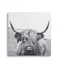 Load image into Gallery viewer, Scottish Highland Cattle
